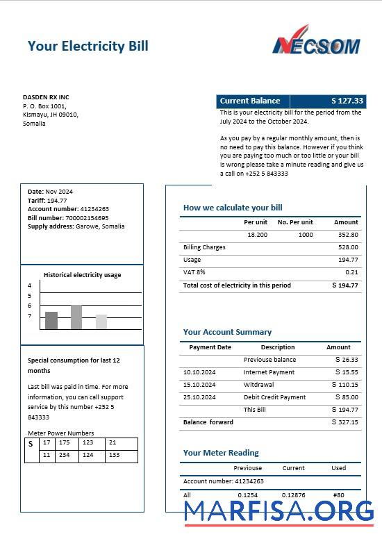 Downloadable Somalia NESCOM Company electricity business utility bill template in Word and PDF formats